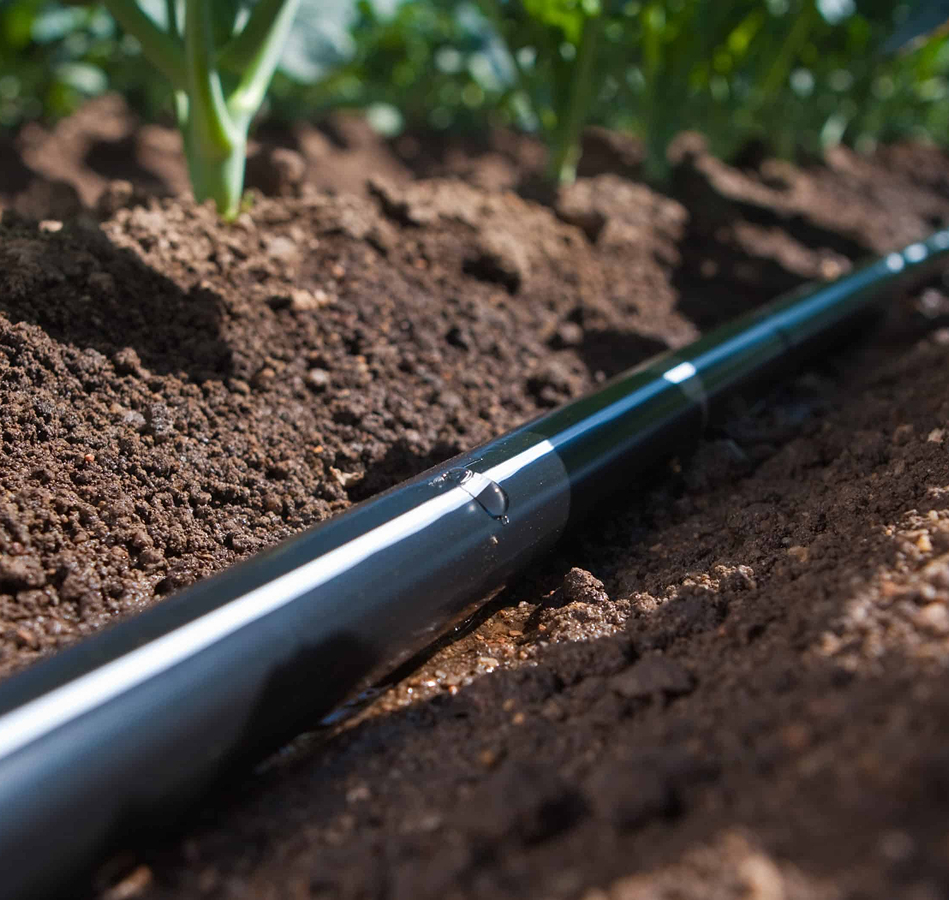 Etapas da obra em campo